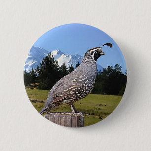 QUAIL ON DREAM POINT 6 CM ROUND BADGE