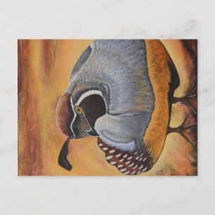 Quail Postcard