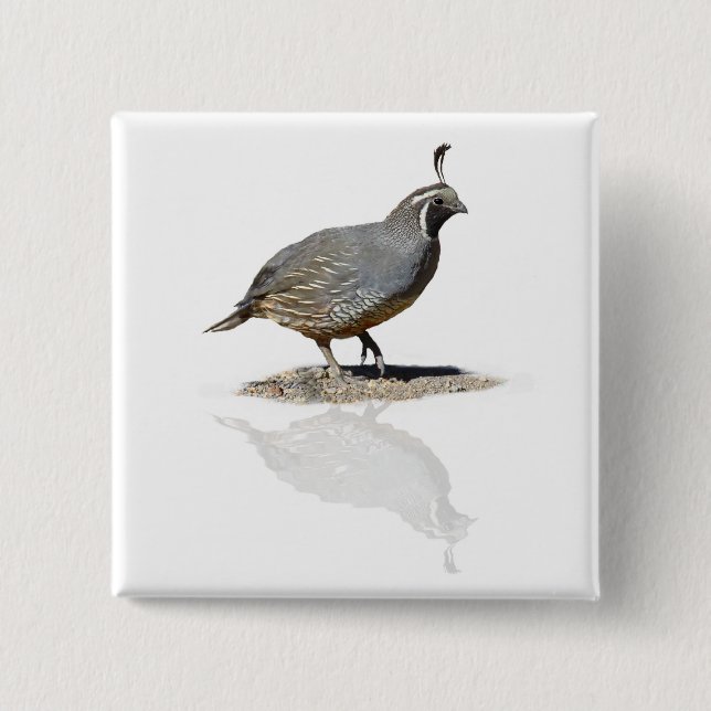 QUAIL REFLECTED 15 CM SQUARE BADGE (Front)