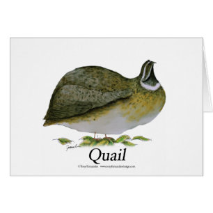 quail, tony fernandes