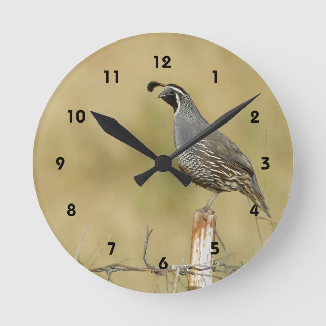 Quail Wall Clock (Front)