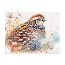Quail Watercolor Botanical