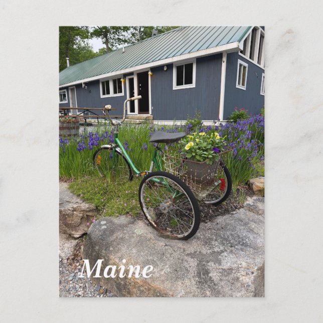 Quaint Maine backwoods  Holiday Postcard (Front)
