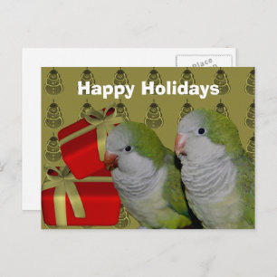 Quaker Parrot Christmas Holiday Postcard