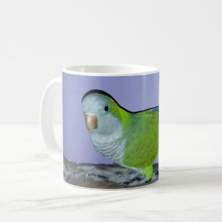 Quaker Parrot Coffee Mug
