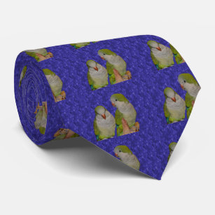 Quaker Parrot Pair Animal Tie