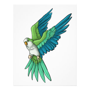 Quaker Parrot Products Flyer