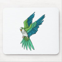 Quaker Parrot Products
