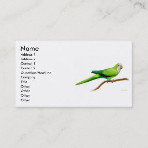 Quaker Parrot Profile Card