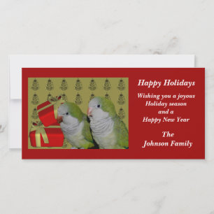 Quaker Parrots Animal Christmas Holiday Card