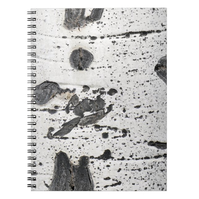 Quaking Aspen Bark Close-Up Photograph Spiral Notebook (Front)