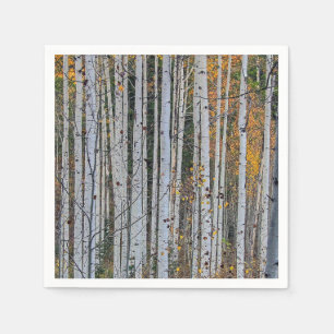 Quaking Aspen in Autumn Napkin