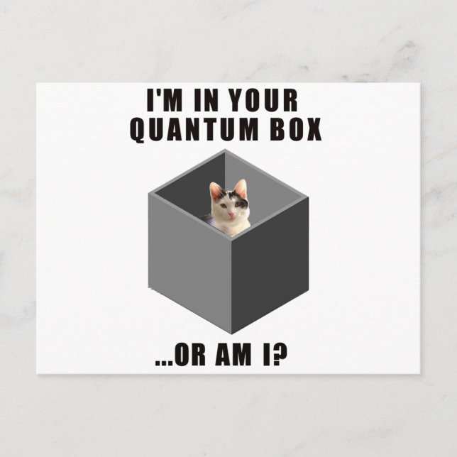 Quantum Cat Postcard (Front)