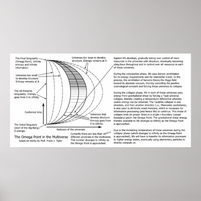 Quantum Mechanics Multiverse Omega Point Diagram Poster (Front)