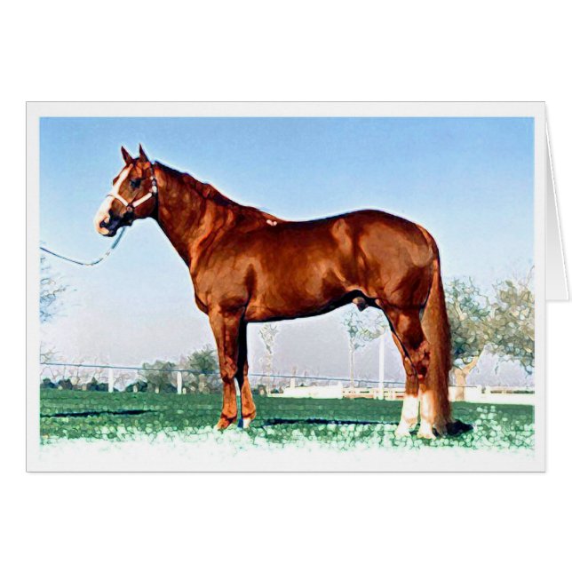 Quarter-Horse (Front Horizontal)