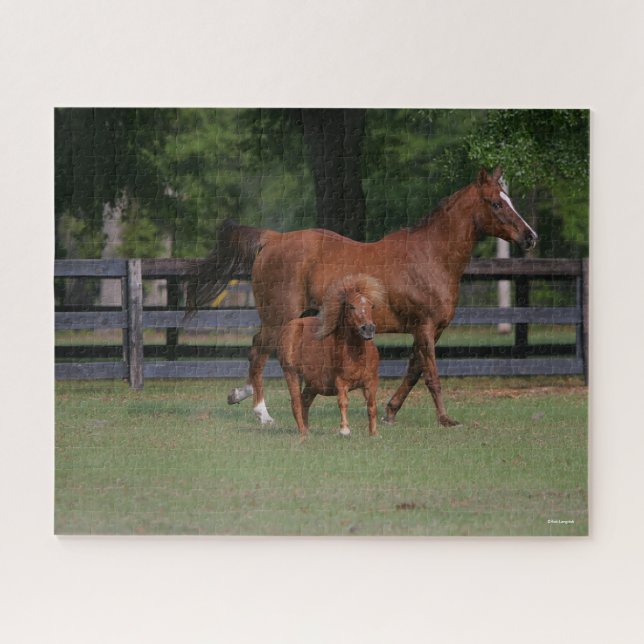 Quarter Horse and Miniature Together Jigsaw Puzzle (Horizontal)