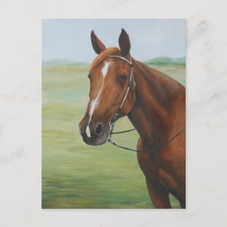 Quarter Horse Animal Art Postcard