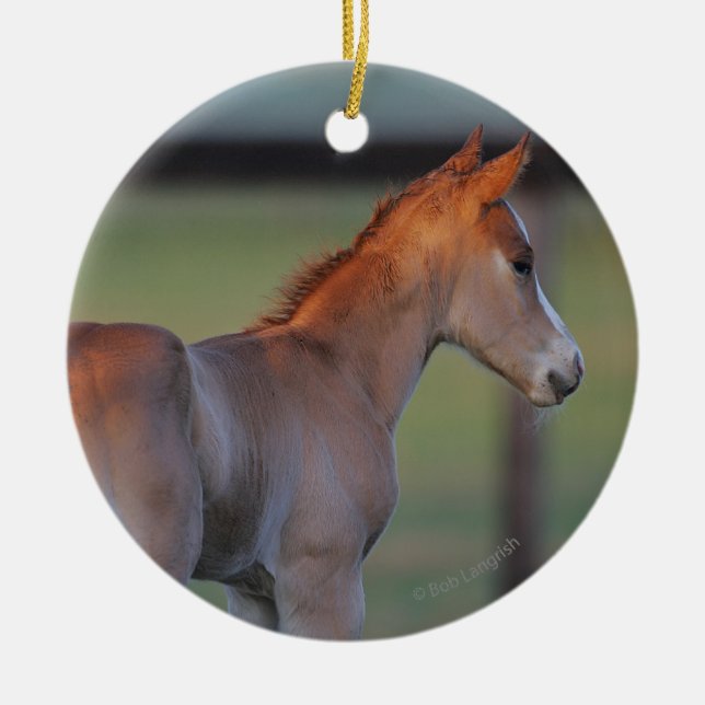 Quarter Horse Foal Ceramic Tree Decoration (Front)