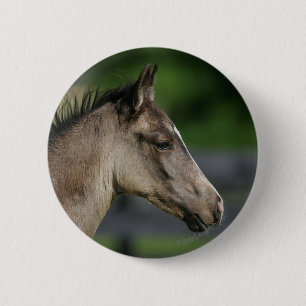 Quarter Horse Foal Headshot 6 Cm Round Badge