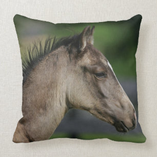 Quarter Horse Foal Headshot Cushion
