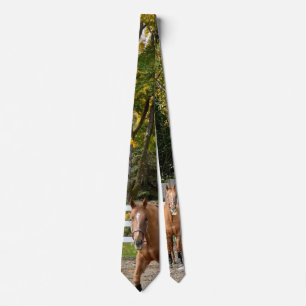Quarter Horse Men's Tie