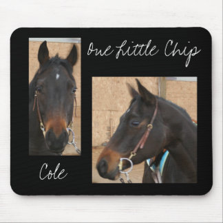 Quarter Horse Mousepad