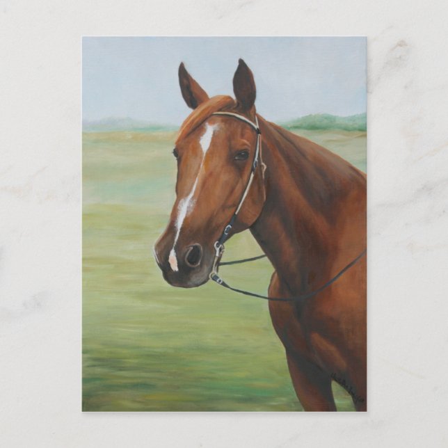 Quarter Horse Original Art Postcard (Front)