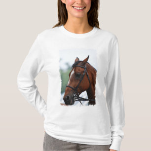 Quarter Horse Profile Hoody