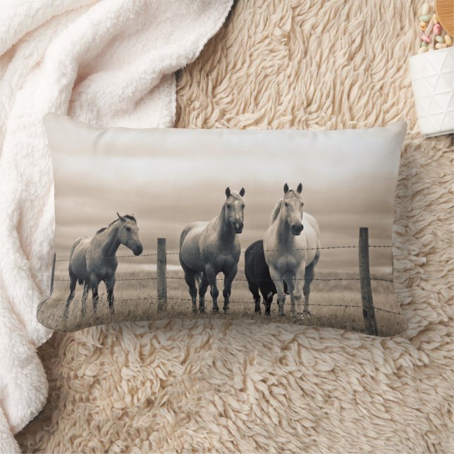 Quarter Horses On Canadian Prairie Lumbar Cushion (Blanket)