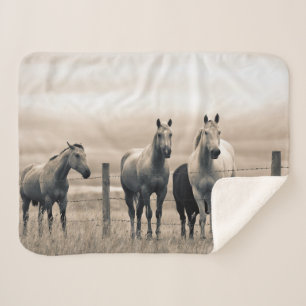 Quarter Horses On Canadian Prairie Sherpa Blanket