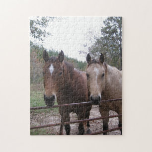 Quarter Horses Standing by the Gate Jigsaw Puzzle