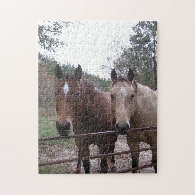 Quarter Horses Standing by the Gate Jigsaw Puzzle (Vertical)