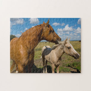 Quarter Horses Texas. Jigsaw Puzzle