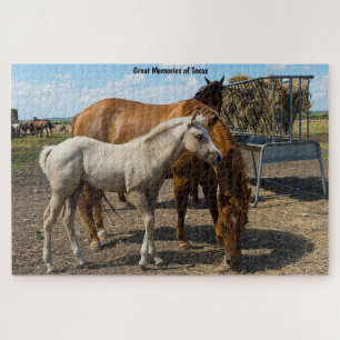 Quarter Horses Texas. Jigsaw Puzzle