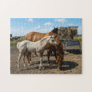 Quarter Horses Texas. Jigsaw Puzzle
