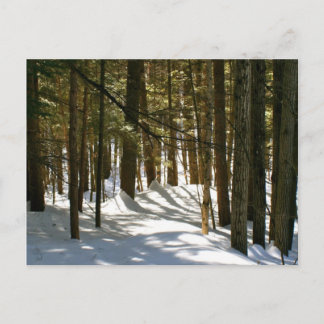 Quechee, VT Postcard