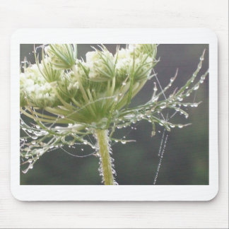 Queen Anne and Morning Dew Mouse Pad