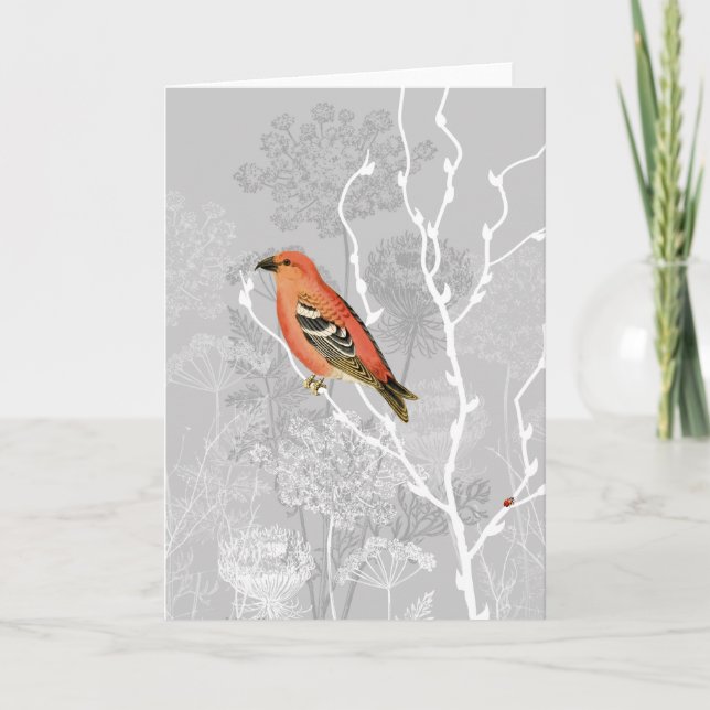 Queen Anne Morning Greeting Card (Front)