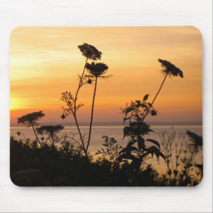 Queen Anne’s Lace at Sunset - Fishers Island, NY Mouse Pad