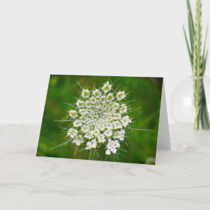 Queen Anne’s Lace, card