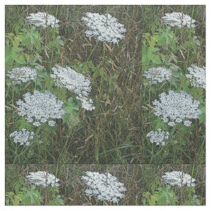 Queen Anne’s Lace White Wild Flower Fabric