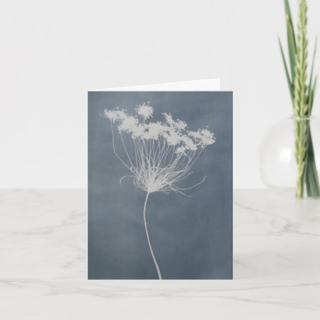 Queen Anne's Lace Floral Notecard Blank Inside (Front)