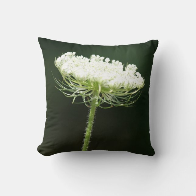 Queen Anne's Lace Flower Cushion (Front)