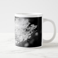 Queen Anne's Lace Flower