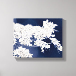 Queen Anne's Lace Flowers Wrapped Canvas