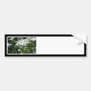 Queen Anne's Lace in a Field Bumper Sticker