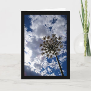 Queen Anne's Lace in Cloudy Skies Card
