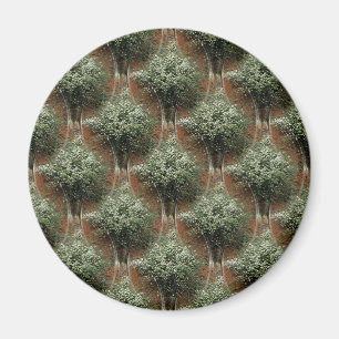 Queen Anne's Lace.... Magnet