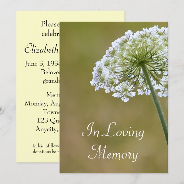 Queen Anne's Lace Memorial Service Announcement (Front/Back)