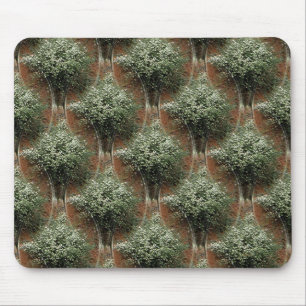 Queen Anne's Lace..... Mouse Pad